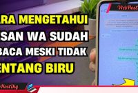Cara Mengetahui Pesan WA Sudah Dibaca Meski Tanpa Centang Biru