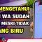 Cara Mengetahui Pesan WA Sudah Dibaca Meski Tanpa Centang Biru