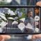 Trik Jitu Foto Keren Modal Pakai HP Doang! Hasil Seperti DSLR