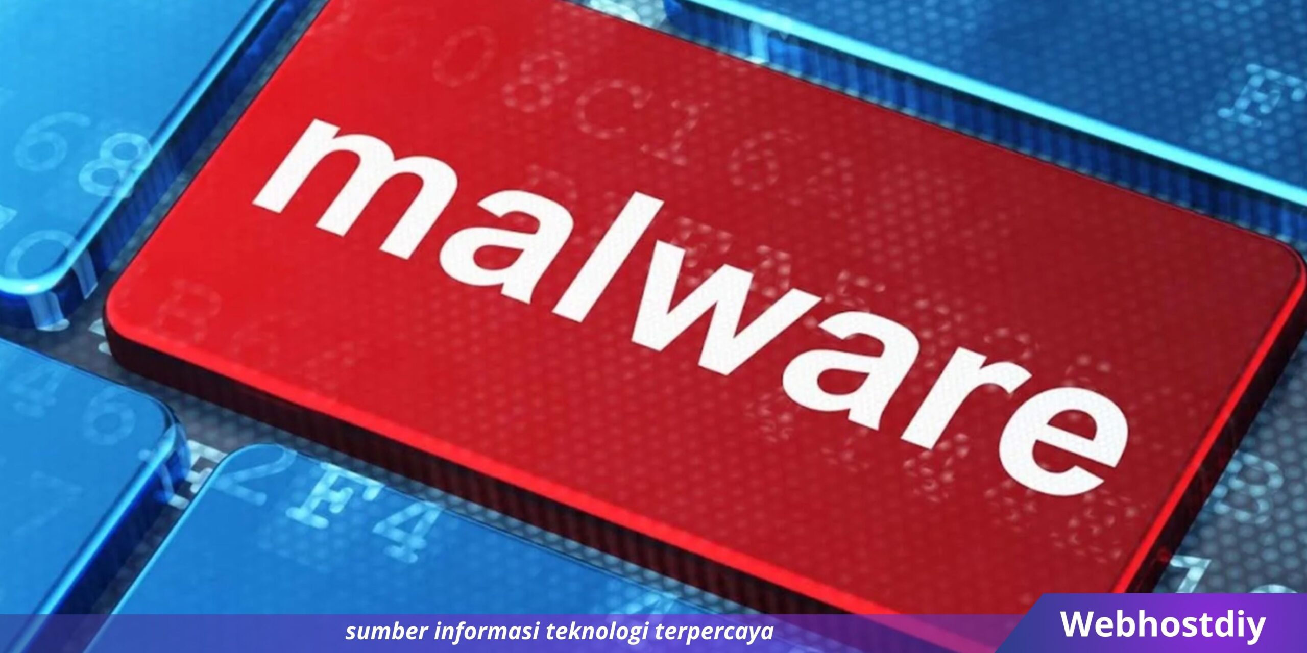 Webhostdiy Licensed Picture (5)