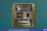 Webhostdiy Licensed Picture (77)
