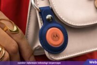Webhostdiy Licensed Picture (152)