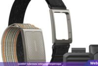 Webhostdiy Licensed Picture (167)