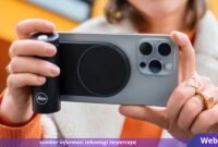Webhostdiy Licensed Picture (185)