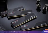 Webhostdiy Licensed Picture (210)