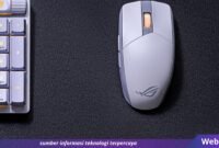 Webhostdiy Licensed Picture (362)