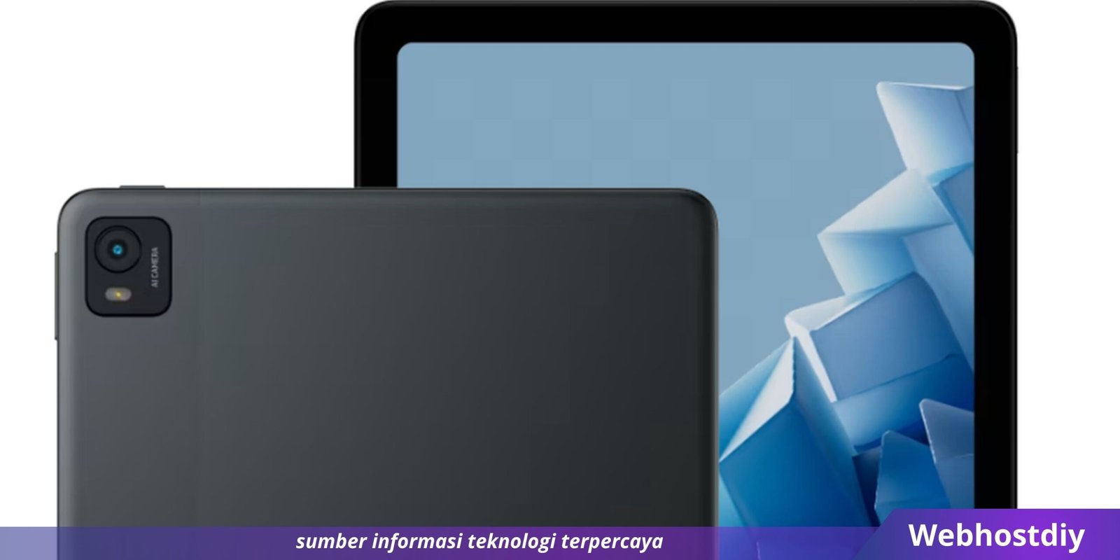 Webhostdiy Licensed Picture (411)