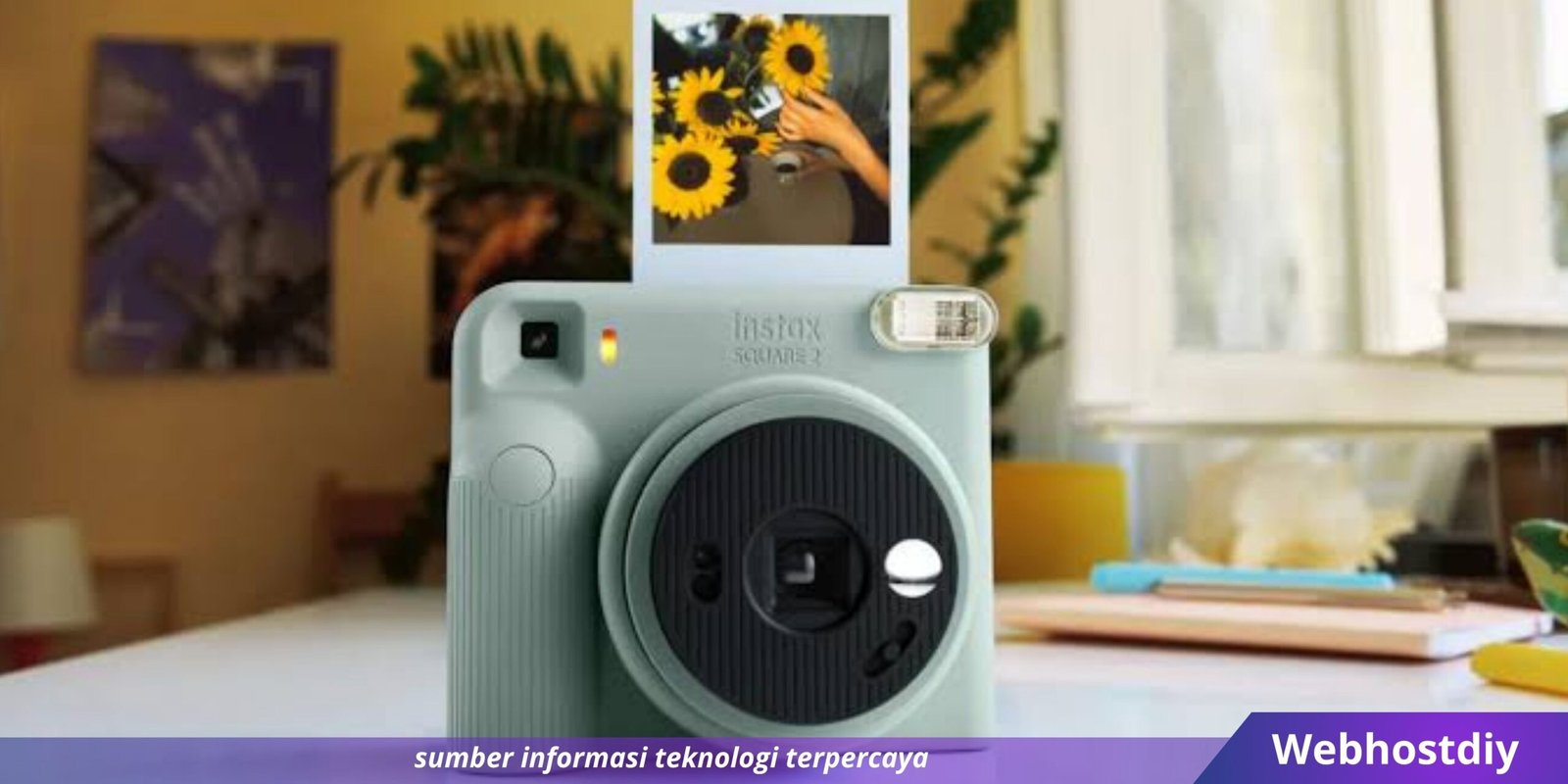 Webhostdiy Licensed Picture (556)