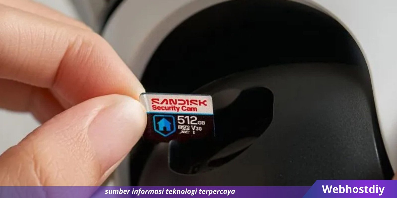 Webhostdiy Licensed Picture (558)